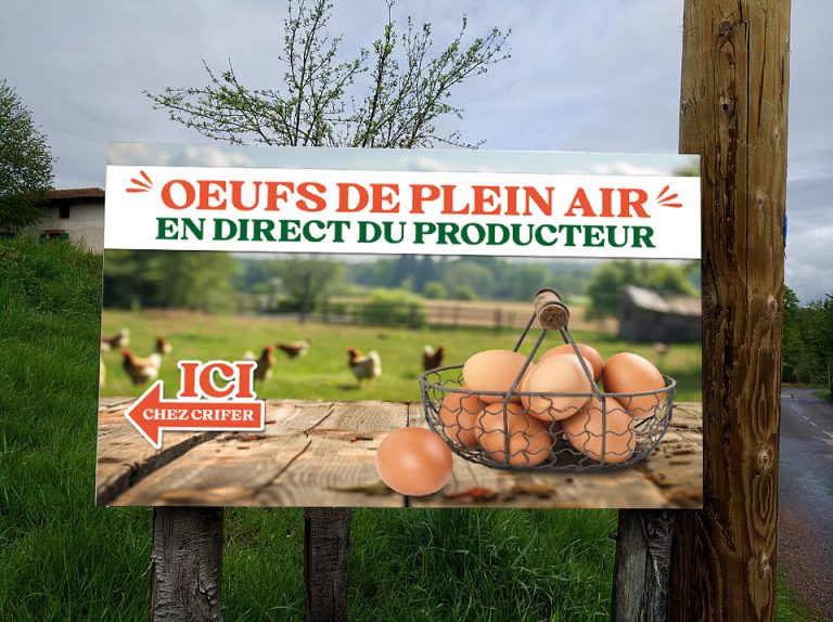 oeufs_crifer